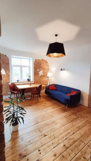 Wooden floor apartment above the trees- 4th floor, Riga